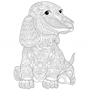 Dog coloring pages for kids